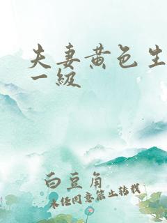 夫妻黄色生活片一级