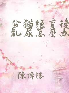 公猫绝育后还是乱尿怎么办