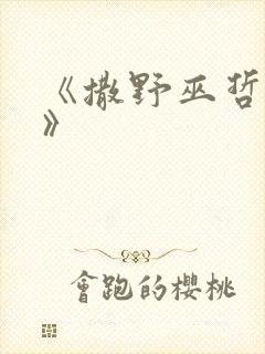 《撒野巫哲小说》