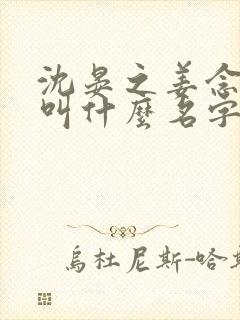 沈晏之姜念小说叫什么名字啊