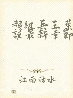 超级兵王叶谦小说最新章节