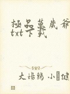 极品万岁爷小说txt下载