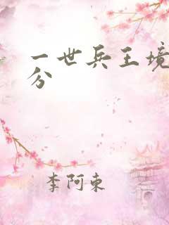 一世兵王境界划分