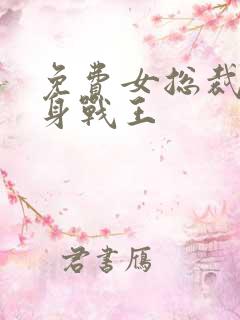 免费女总裁的贴身战王