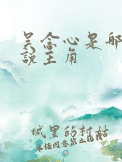 吴念心是哪部小说主角