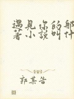 遇见你的那天原著小说叫什么