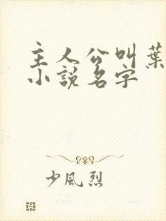 主人公叫叶帆的小说名字