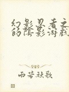 幻影忍者之罗宁的阴影游戏