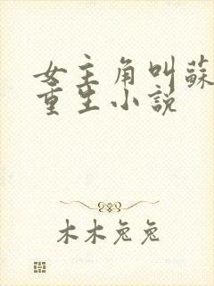 女主角叫苏离的重生小说