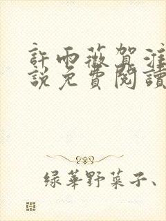 许雨薇贺淮川小说免费阅读