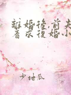 离婚后,前夫哭着求复婚小说阅读