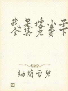 我是坏小子漫画全集免费下拉式漫画