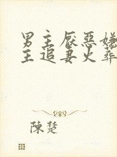 男主厌恶嫌弃女主追妻火葬场