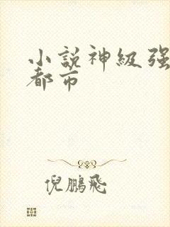 小说神级强者在都市