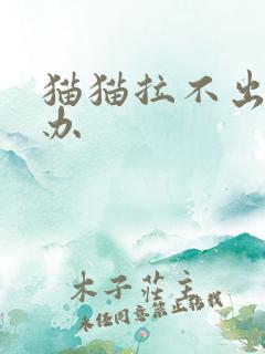 猫猫拉不出尿咋办