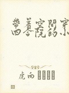 带着空间穿越到四合院的小说