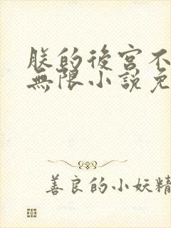 朕的后宫不是人无限小说免费阅读