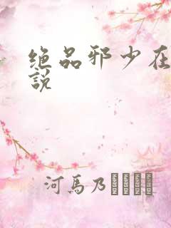 绝品邪少在线小说