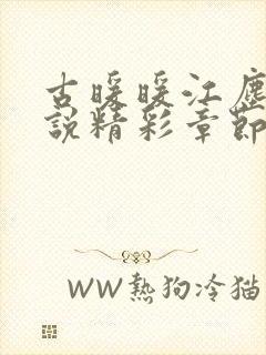 古暖暖江尘御小说精彩章节75