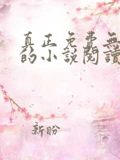 真正免费无广告的小说阅读器