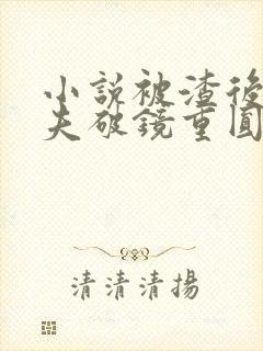 小说被渣后和前夫破镜重圆了全本看