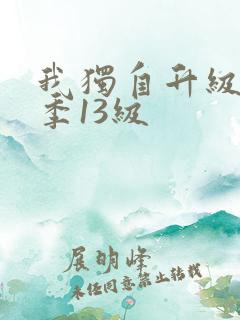我独自升级第二季13级