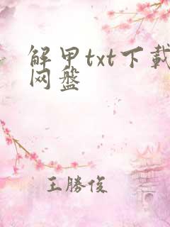 解甲txt下载网盘