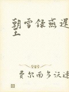 朝雪录燕迟的父王