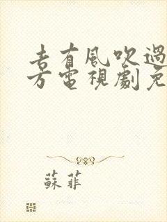 去有风吹过的地方电视剧免费观看