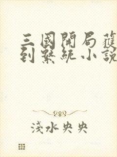 三国开局获得签到系统小说