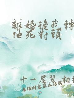 离婚后我转身嫁他死对头