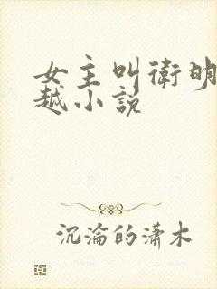 女主叫卫明的穿越小说