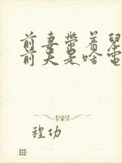 前妻带着儿子找前夫是啥电视剧