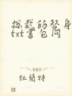 总裁的替身前妻txt书包网