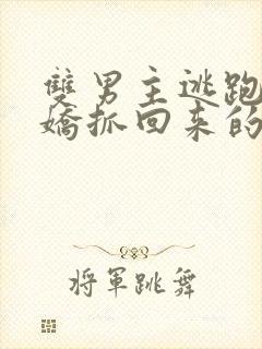 双男主逃跑被病娇抓回来的小说