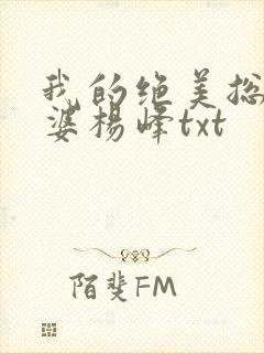 我的绝美总裁老婆杨峰txt