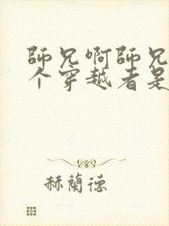 师兄啊师兄另一个穿越者是谁