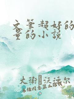 文笔超好的高质量的小说