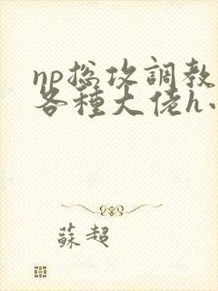 np总攻调教j各种大佬h小说