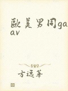 欧美男同gayav