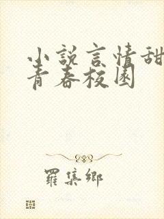 小说言情甜宠文青春校园