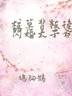 校草背叛后,我闪婚太子爷气疯他