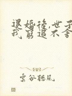 退婚后,世子对我穷追不舍