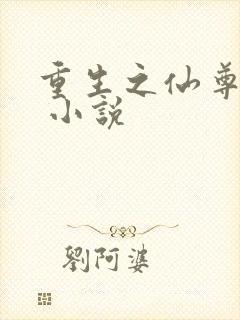 重生之仙尊归来 小说