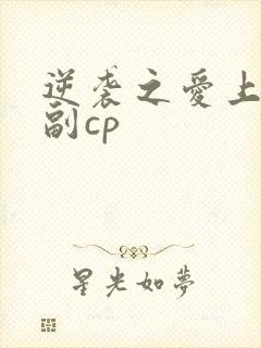 逆袭之爱上情敌副cp