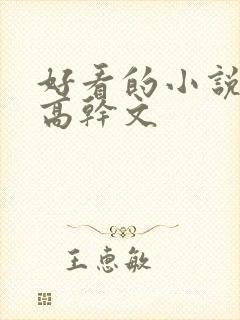 好看的小说推荐高干文