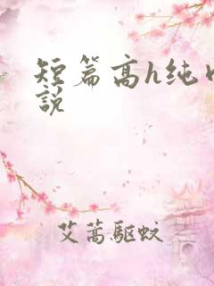 短篇高h纯肉小说