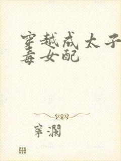 穿越成太子妃恶毒女配