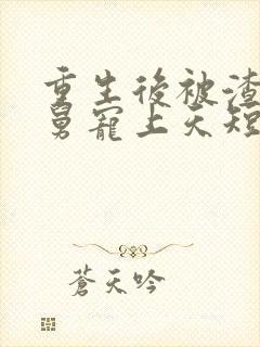 重生后被渣男舅舅宠上天短剧免费看