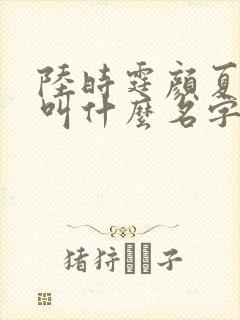 陆时霆颜夏小说叫什么名字